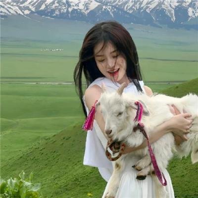 玩命钞劫