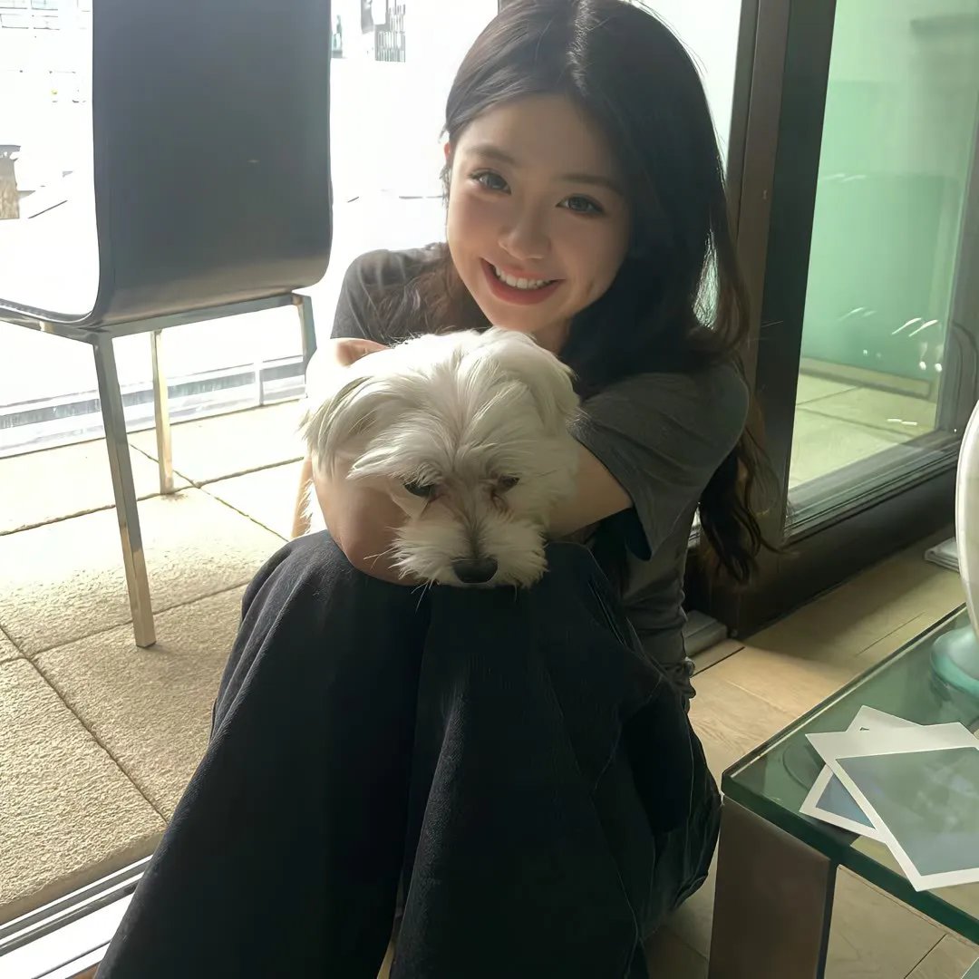 与狼共谋